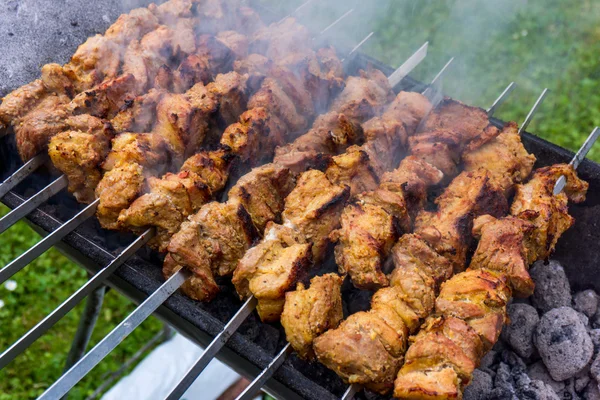 Grilované maso na grilování Kavkaz — Stock fotografie