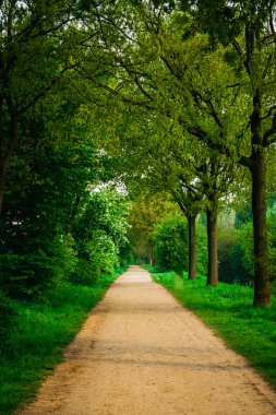 Forest Road.