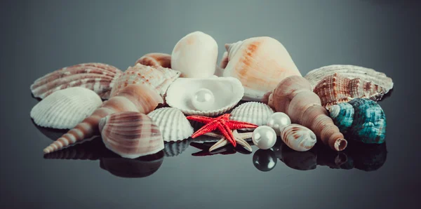 Pearl on the seashell. — Stock Photo, Image