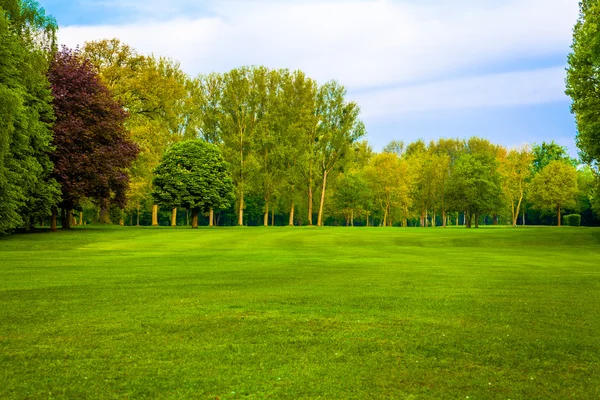 Groen veld landschap — Stockfoto