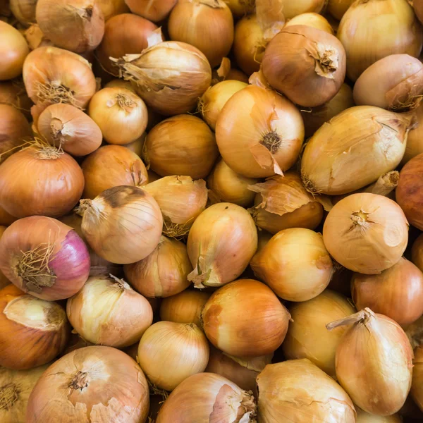 Fresh onions — Stock Photo, Image