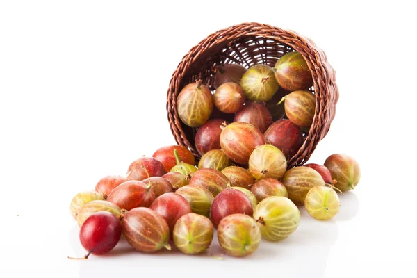 Fresh gooseberries in basket — Stock Photo, Image