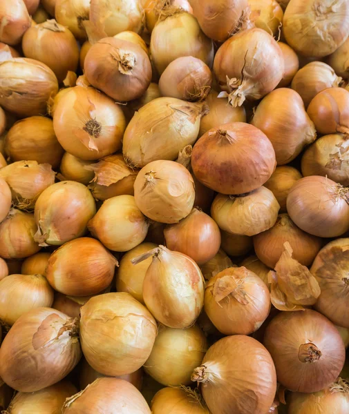 Ungeschälte frische Zwiebeln — Stockfoto