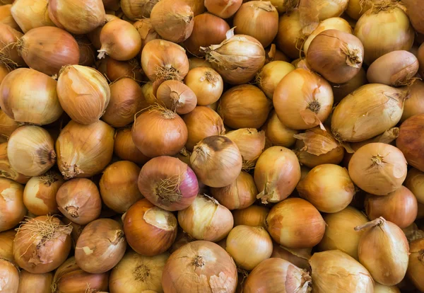 Unshelled fresh onions — Stock Photo, Image