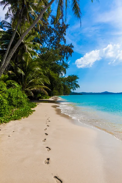 Playa del paraíso tropical — Foto de Stock