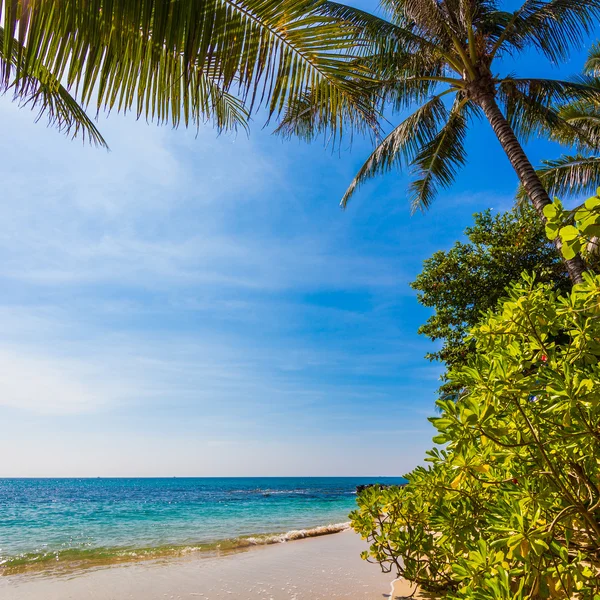 Tropiskt paradis strand — Stockfoto