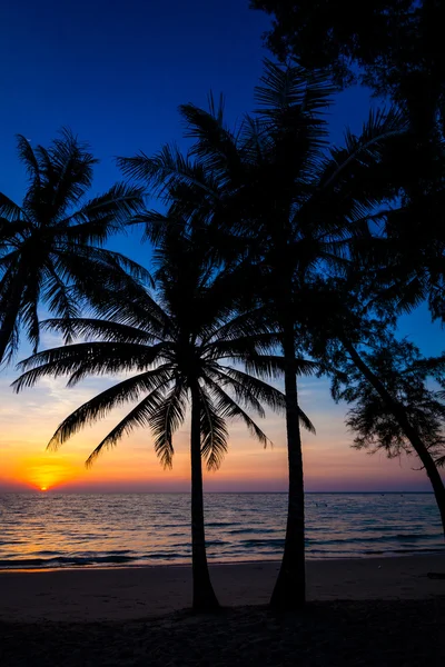 Zachód słońca przez drzewa palmowe — Zdjęcie stockowe