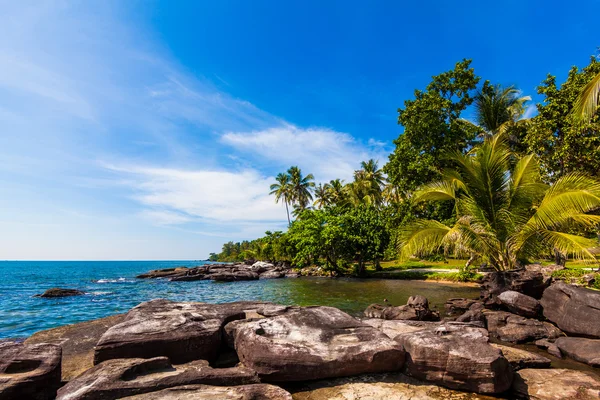 Vacker tropisk strand — Stockfoto