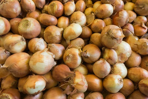 Fresh onion. — Stock Photo, Image