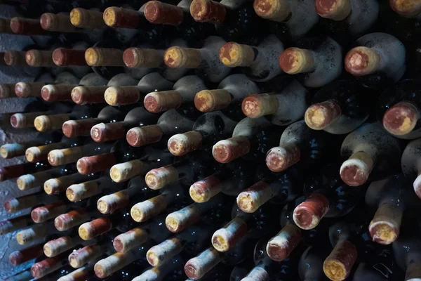 Láhve od vína ve sklepě — Stock fotografie