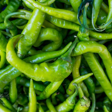 Taze kırmızı biber