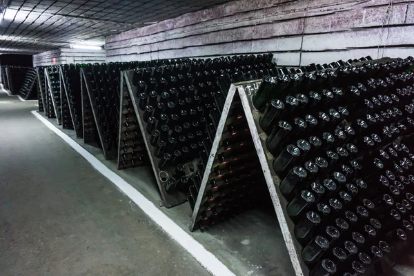 Wine bottles in cellar — Stock Photo, Image