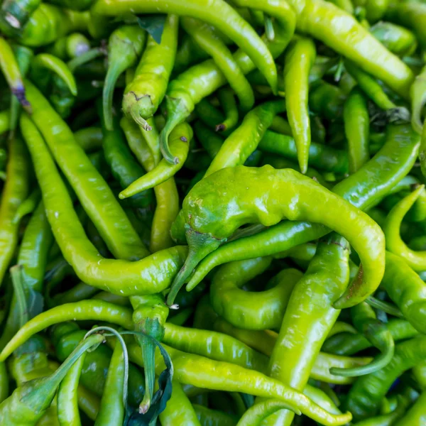 Färsk chili peppers — Stockfoto