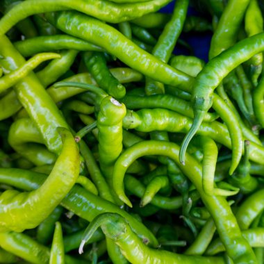 Taze kırmızı biber