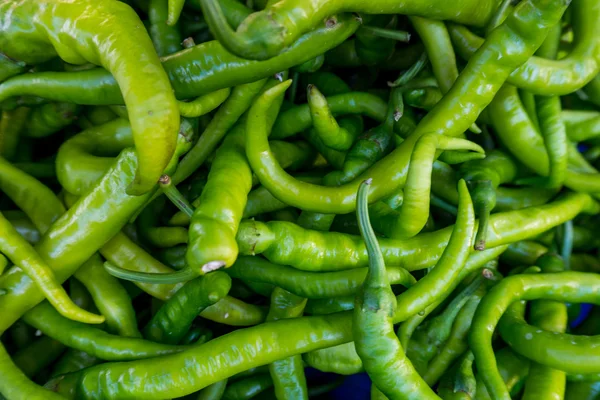 Färsk chili peppers — Stockfoto