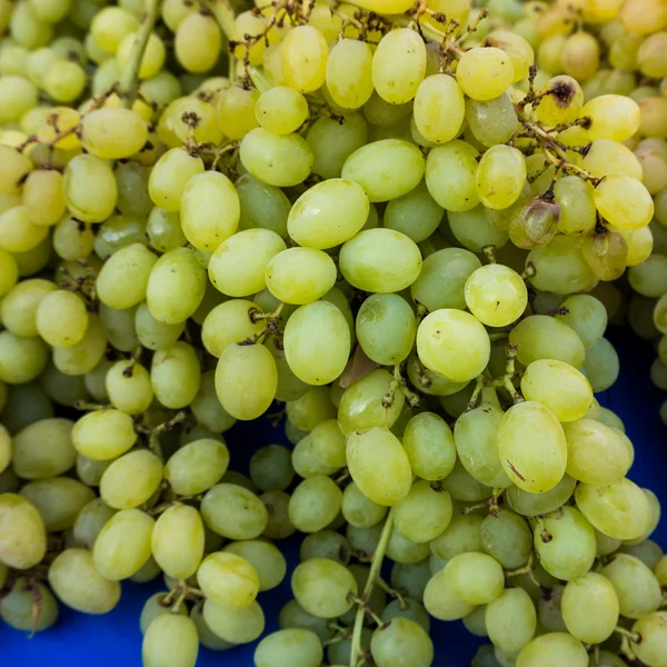 Uvas en un mercado . —  Fotos de Stock