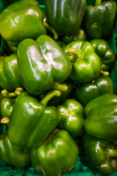 Färsk grön paprika — Stockfoto