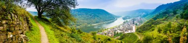 Almanya'da Moselle Nehri