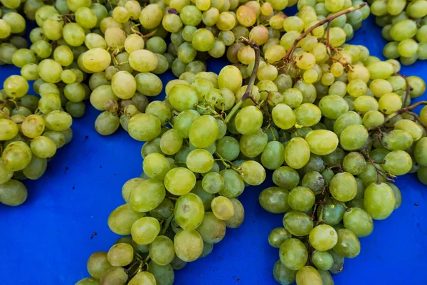 Uvas frescas en un mercado . —  Fotos de Stock