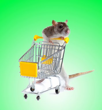Alışveriş sepeti ile fare
