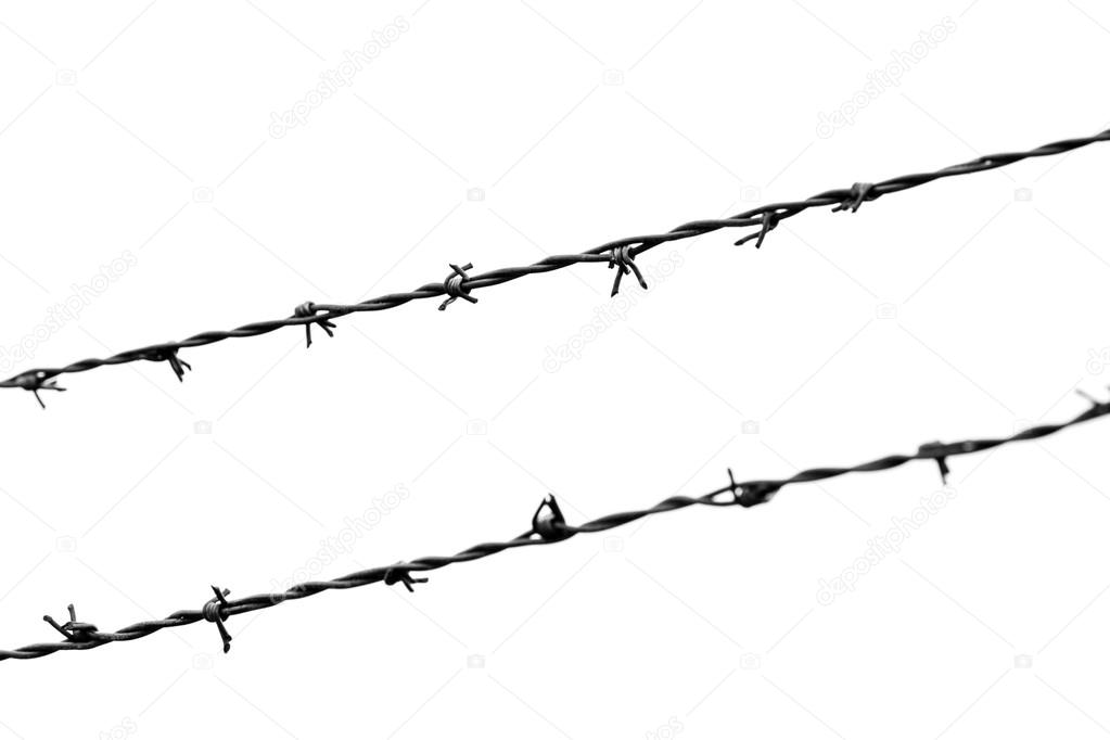 Metal Barbed Wires