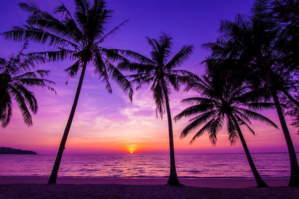 ヤシの木に沈む夕日 — ストック写真