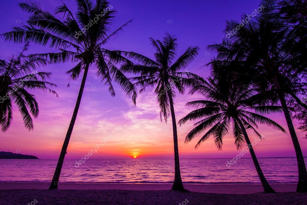 Zonsondergang over palmbomen — Stockfoto © ewastudio #71198435
