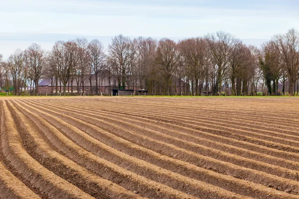 Gebouwen in de buurt van veld. — Stockfoto