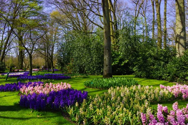 Hermoso jardín de primavera —  Fotos de Stock