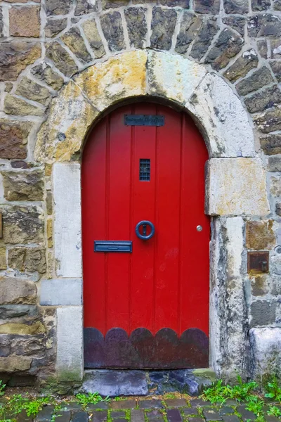 Puerta arbolada vieja — Foto de Stock