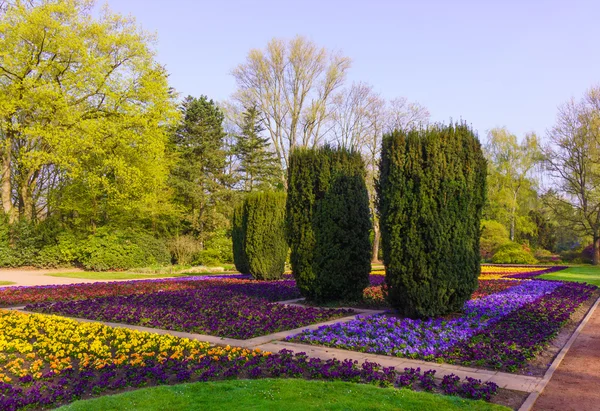 Hermoso paisaje de jardín —  Fotos de Stock