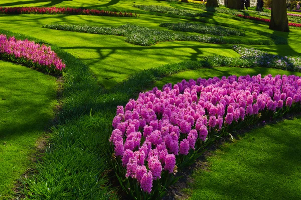 Beautiful spring garden — Stock Photo, Image