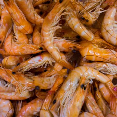 Taze çiğ karides