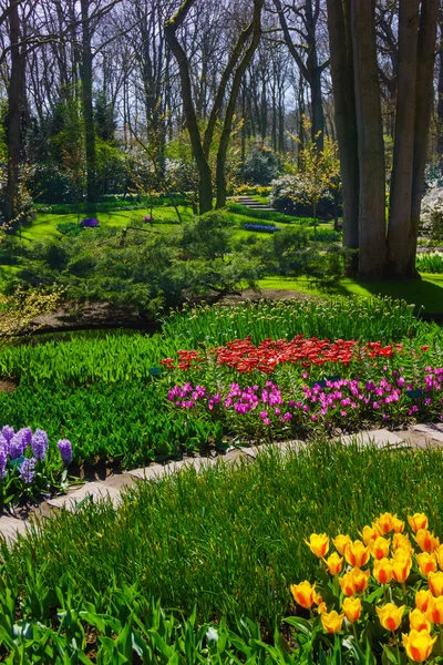 Hermoso jardín en la primavera —  Fotos de Stock