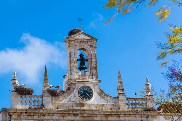 Stork at the top of the church — Stock Photo, Image