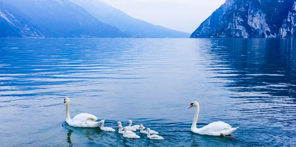 Jezero Garda krajina — Stock fotografie