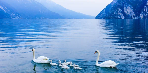 Garda lago paisagem — Fotografia de Stock