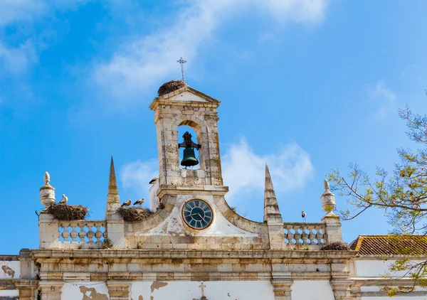 Storks nesting on roof of church — Stock Photo, Image