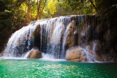 derin orman şelale.
