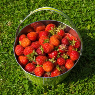sepet içinde tatlı çilek.