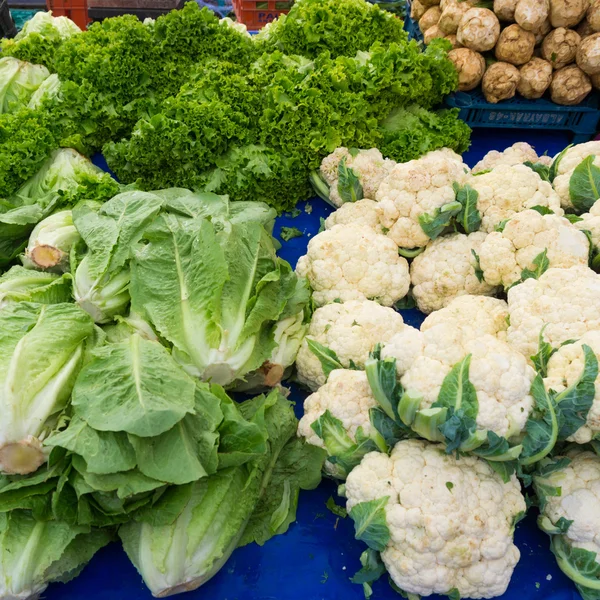 Frisches grünes Gemüse — Stockfoto