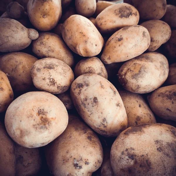 Batatas jovens biológicas — Fotografia de Stock