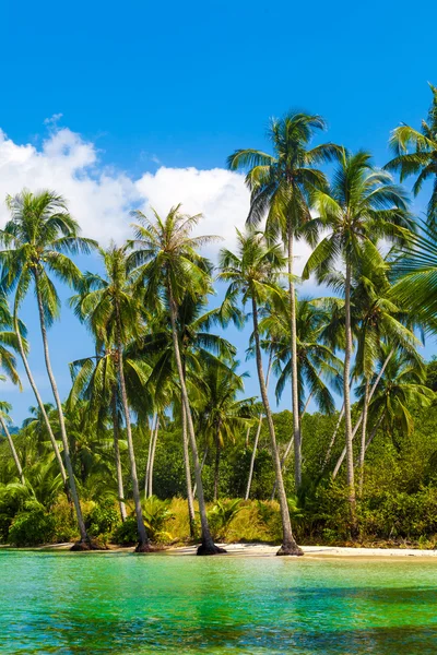 Schöner tropischer Strand — Stockfoto