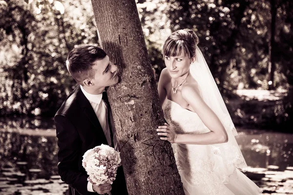 Novia y novio posando en un parque —  Fotos de Stock