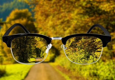 gözlük parktan görüntüleyin.