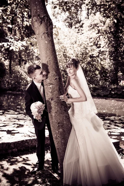 Bruid en bruidegom poseren in een park — Stockfoto