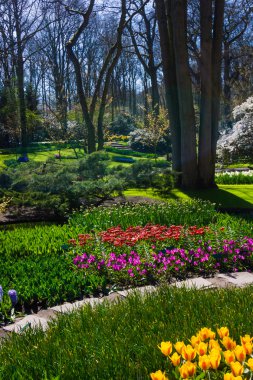 güzel bahar bahçe