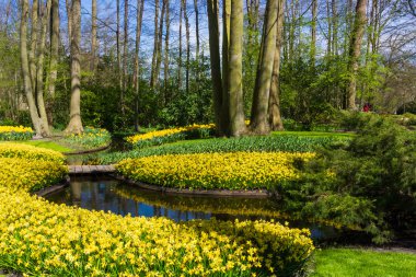 Baharda güzel bir bahçe