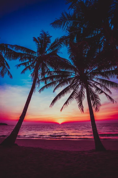 Belo pôr do sol na praia. — Fotografia de Stock