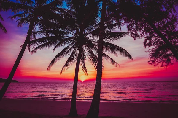 Hermoso atardecer en la playa. — Foto de Stock